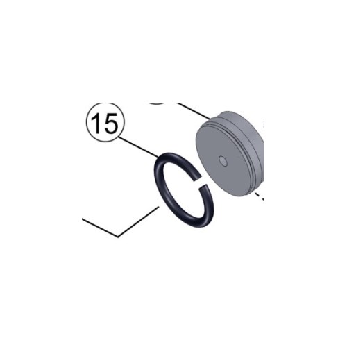 IPT, G19-15 LIMIT RING