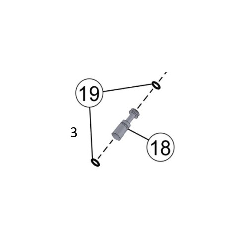 IPT, G19-19 O-RING